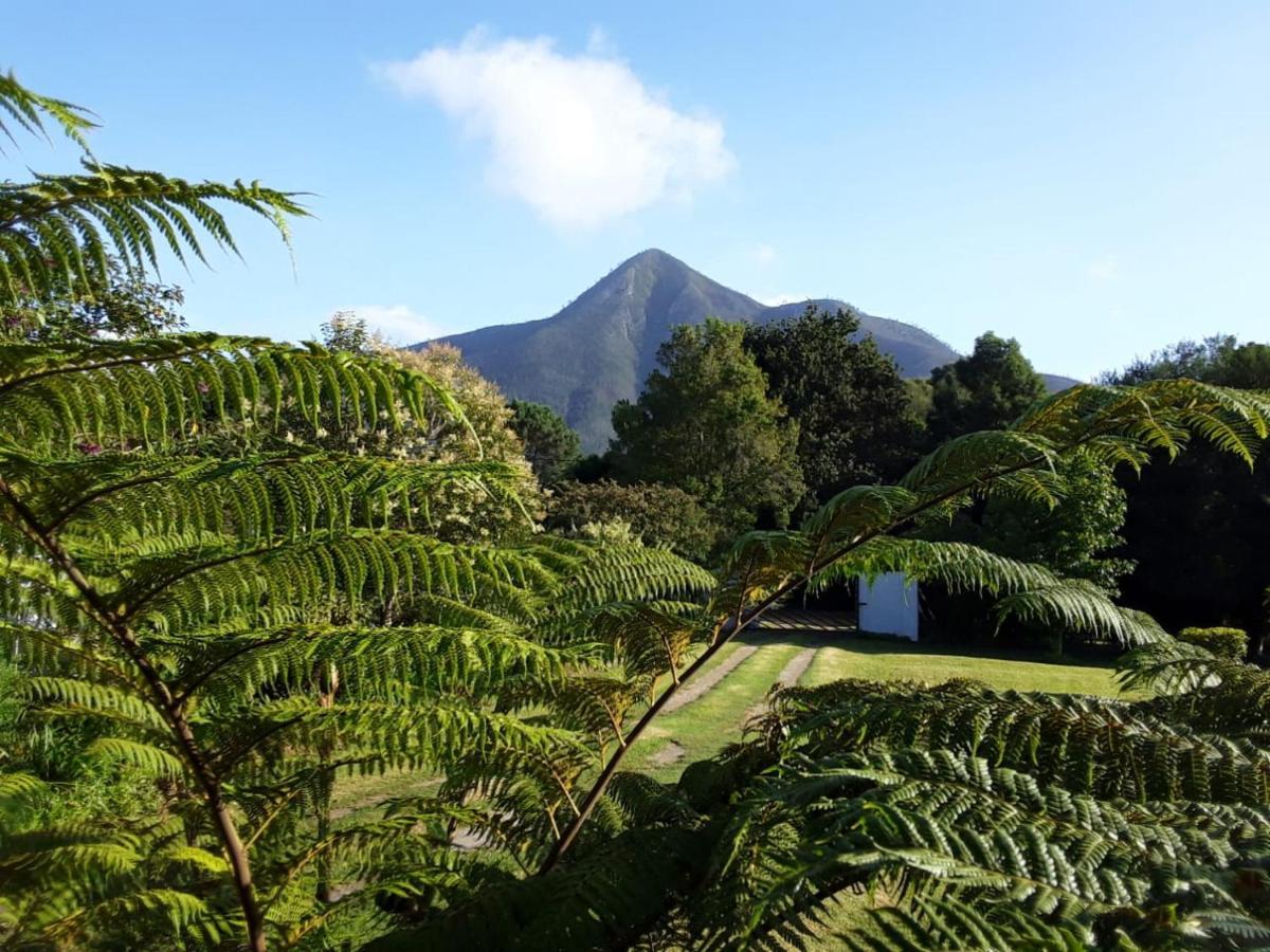 Nadine'S Self-Catering Accommodation Stormsrivier Esterno foto